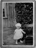 Click to see big picture (523x700 pixels; 111 KB)