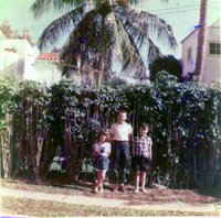 Click to see big picture (700x693 pixels; 161 KB)
