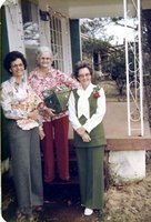 Click to see big picture (475x700 pixels; 95 KB)